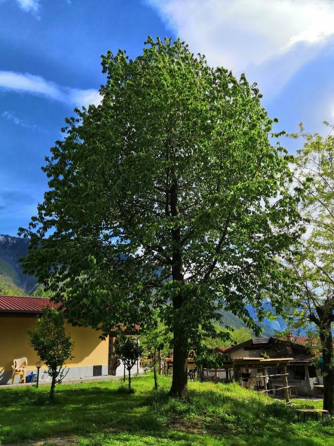 Agriturismo Val Codera Verceia Exterior foto